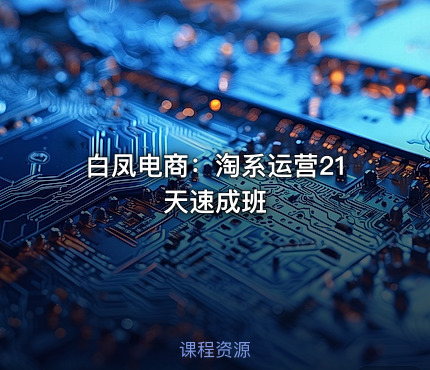白凤电商：淘系运营21天速成班