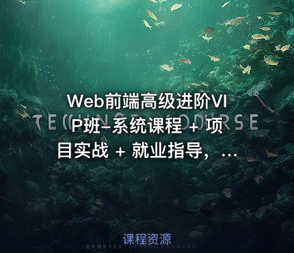 Web前端高级进阶VIP班-系统课程 + 项目实战 + 就业指导，直接对标大厂面试