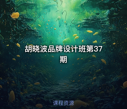 胡晓波品牌设计班第37期