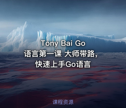 Tony Bai Go语言第一课 大师带路，快速上手Go语言