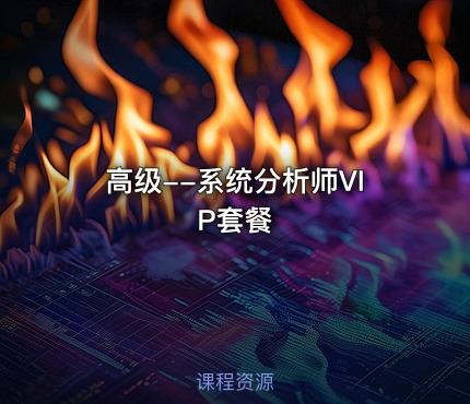 高级--系统分析师VIP套餐