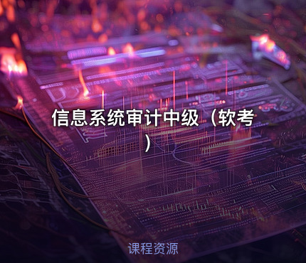 信息系统审计中级（软考）