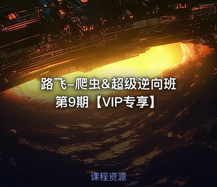 路飞-爬虫&超级逆向班第9期【VIP专享】