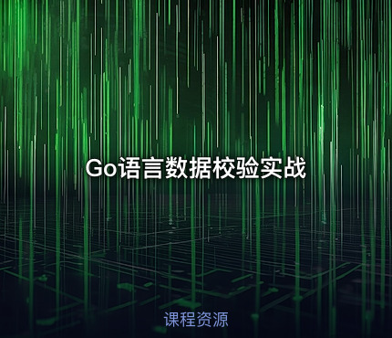 Go语言数据校验实战
