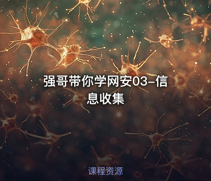 强哥带你学网安03-信息收集