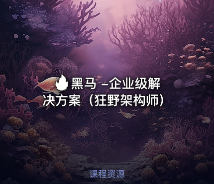 🔥 黑马 -企业级解决方案（狂野架构师）