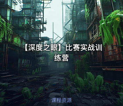 👁️ 【深度之眼】比赛实战训练营