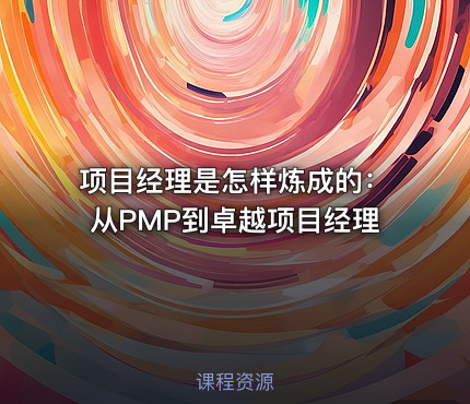 项目经理是怎样炼成的：从PMP到卓越项目经理