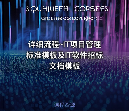 详细流程~IT项目管理标准模板及IT软件招标文档模板