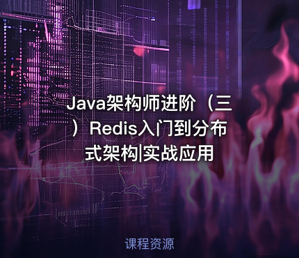 Java架构师进阶（三）Redis入门到分布式架构|实战应用