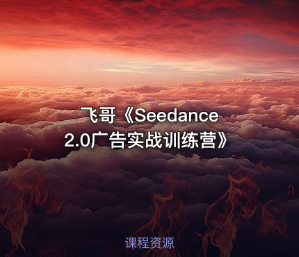 飞哥《Seedance2.0广告实战训练营》
