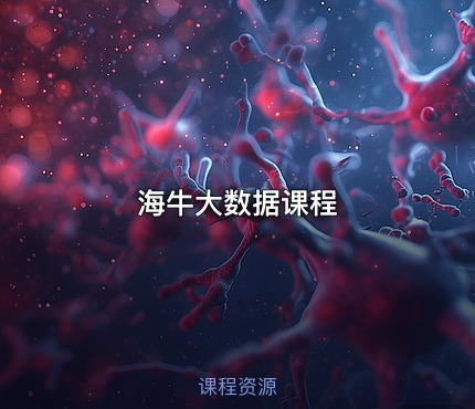 海牛大数据课程