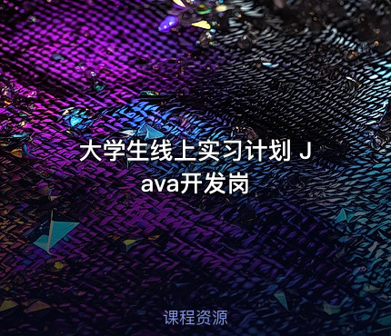 大学生线上实习计划 Java开发岗