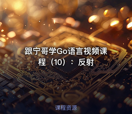 跟宁哥学Go语言视频课程（10）：反射