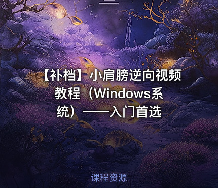 【补档】小肩膀逆向视频教程（Windows系统）——入门首选