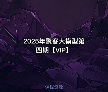 2025年聚客大模型第四期【VIP】