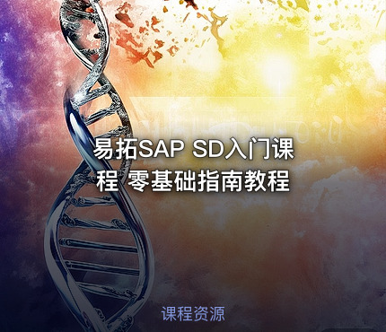 易拓SAP SD入门课程 零基础指南教程