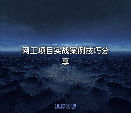 网工项目实战案例技巧分享