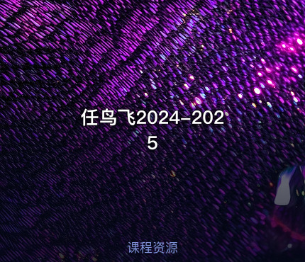 任鸟飞2024-2025