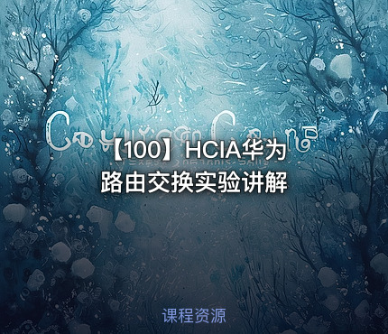 【100】HCIA华为路由交换实验讲解