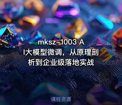 mksz-1003 AI大模型微调，从原理剖析到企业级落地实战