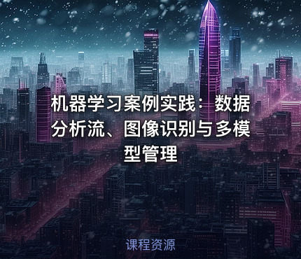 机器学习案例实践：数据分析流、图像识别与多模型管理