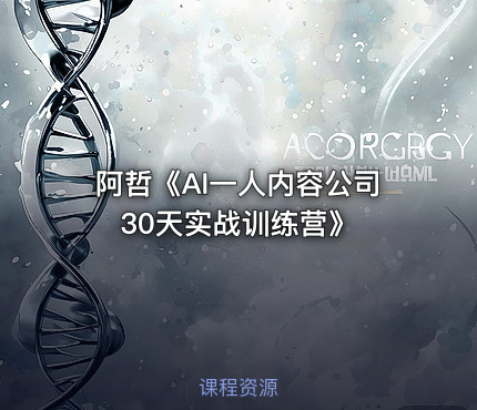 阿哲《AI一人内容公司30天实战训练营》