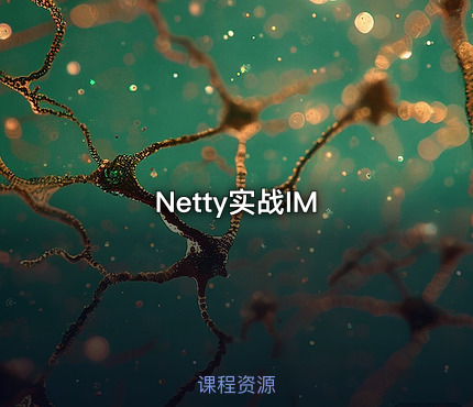 Netty实战IM