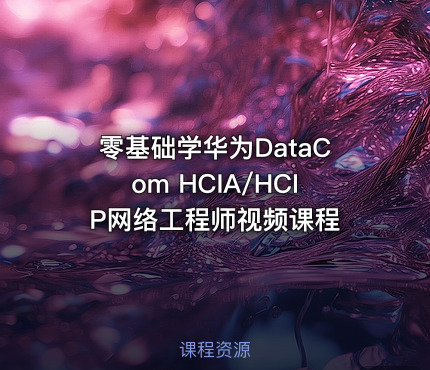 零基础学华为DataCom HCIA/HCIP网络工程师视频课程
