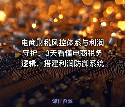 电商财税风控体系与利润守护，3天看懂电商税务逻辑，搭建利润防御系统
