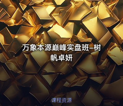万象本源巅峰实盘班-树帆卓妍