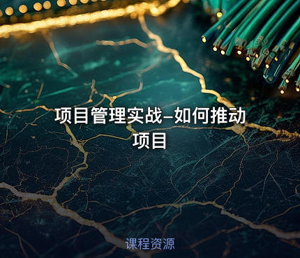 项目管理实战-如何推动项目