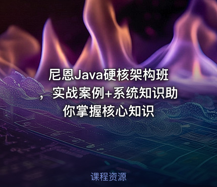 尼恩Java硬核架构班，实战案例+系统知识助你掌握核心知识