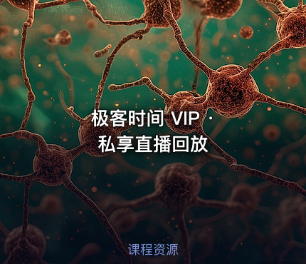极客时间 VIP · 私享直播回放