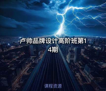 卢帅品牌设计高阶班第14期