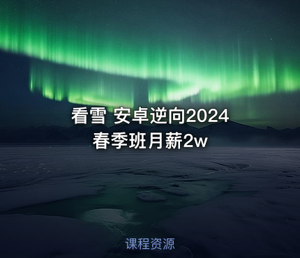 看雪 安卓逆向2024春季班月薪2w