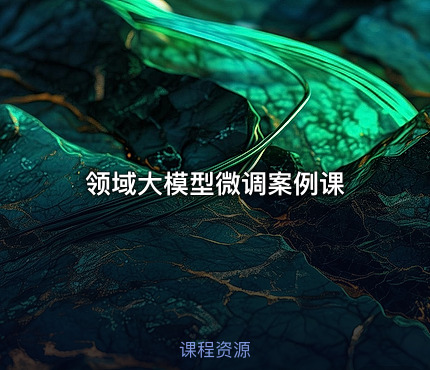 领域大模型微调案例课