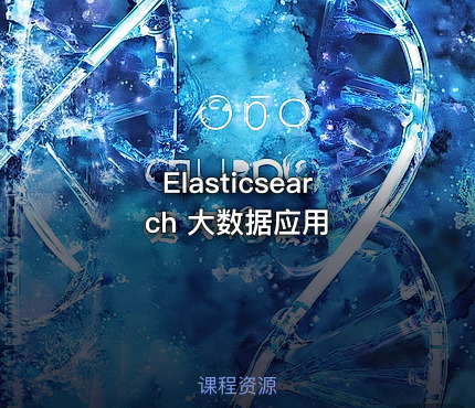 Elasticsearch 大数据应用