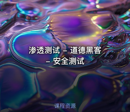 渗透测试 - 道德黑客 - 安全测试