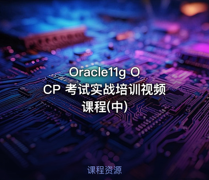 Oracle11g OCP 考试实战培训视频课程(中)