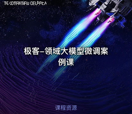 极客-领域大模型微调案例课