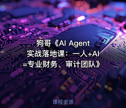 狗哥《AI Agent实战落地课：一人+AI=专业财务、审计团队》