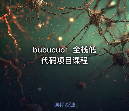 bubucuo：全栈低代码项目课程