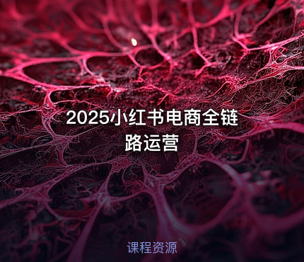 2025小红书电商全链路运营
