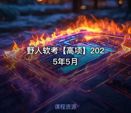 野人软考【高项】2025年5月