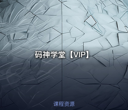 码神学堂【VIP】