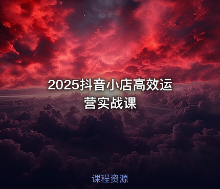 2025抖音小店高效运营实战课