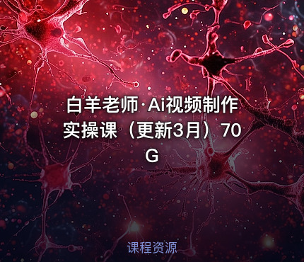 白羊老师·Ai视频制作实操课（更新3月）70G