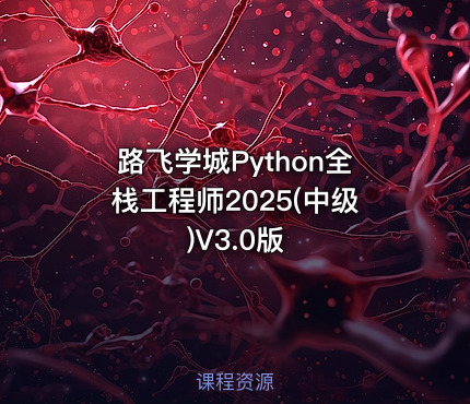 路飞学城Python全栈工程师2025(中级)V3.0版