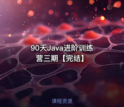 90天Java进阶训练营三期【完结】